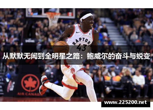 从默默无闻到全明星之路：鲍威尔的奋斗与蜕变