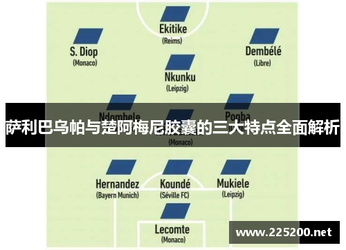 萨利巴乌帕与楚阿梅尼胶囊的三大特点全面解析 萨利巴乌帕与楚阿梅尼胶囊的三大特点全面解析