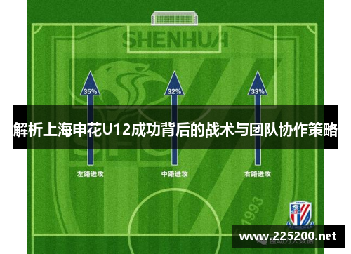 解析上海申花U12成功背后的战术与团队协作策略